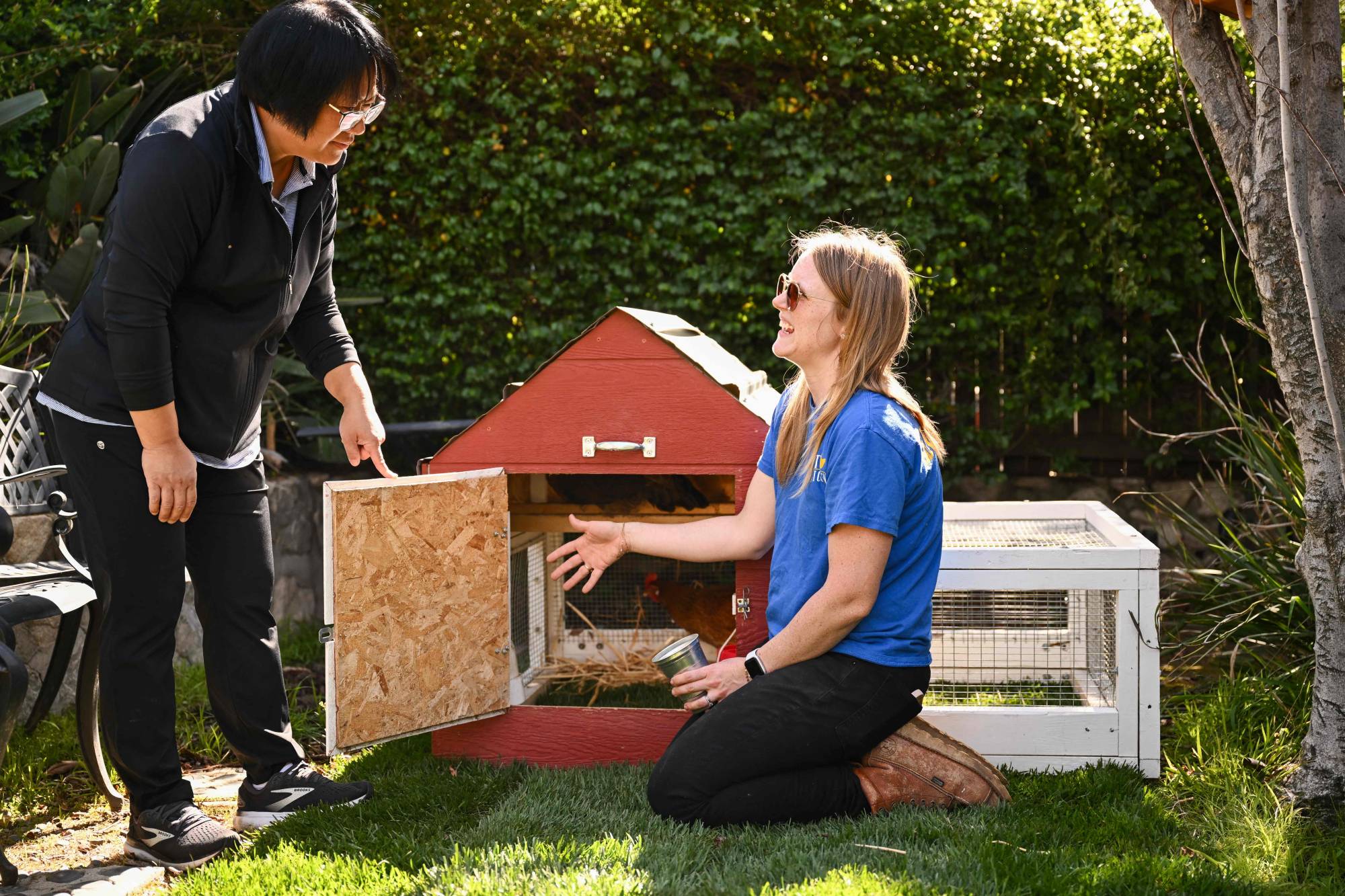 فيكتوريا لي (يمين) تعرف يونغ مي كيم (يسار) على الدجاجات البياضة وقن الدجاج المتنقل (أ.ف.ب)