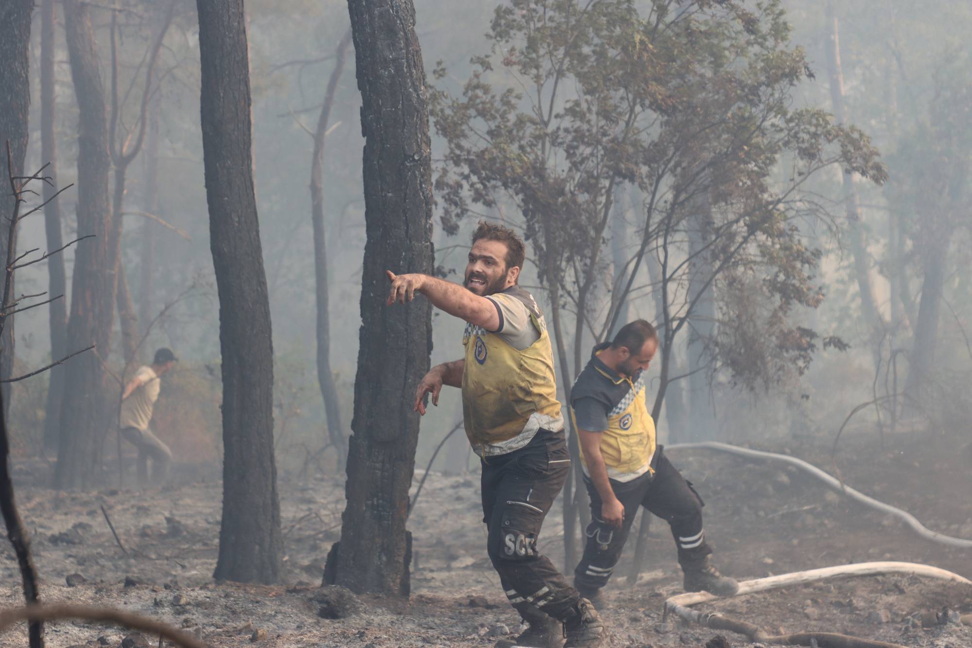 عمليات الإطفاء للحرائق بغابات اللاذقية شمال غربي سوريا هذا الصيف (الدفاع المدني)