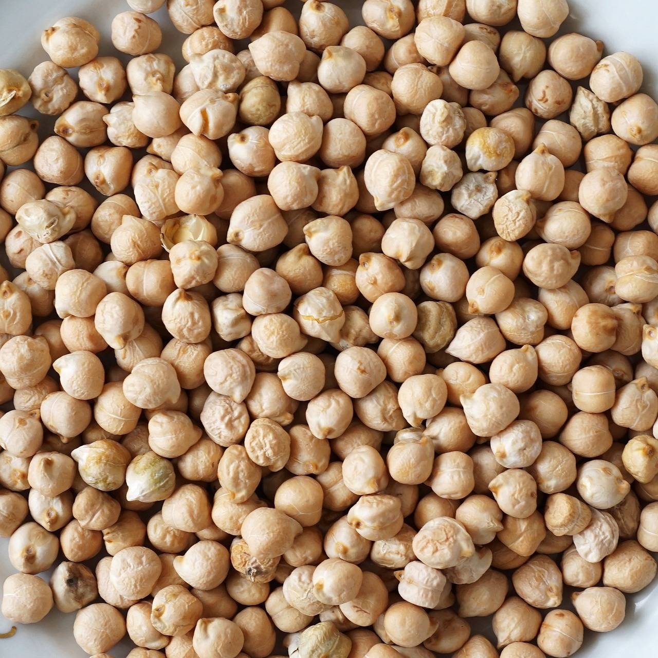 حبوب من الحمص (بكساباي)