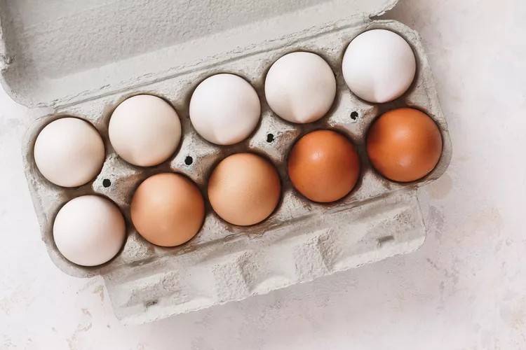قشرة البيضة تحددها عوامل وراثية (غيتي)