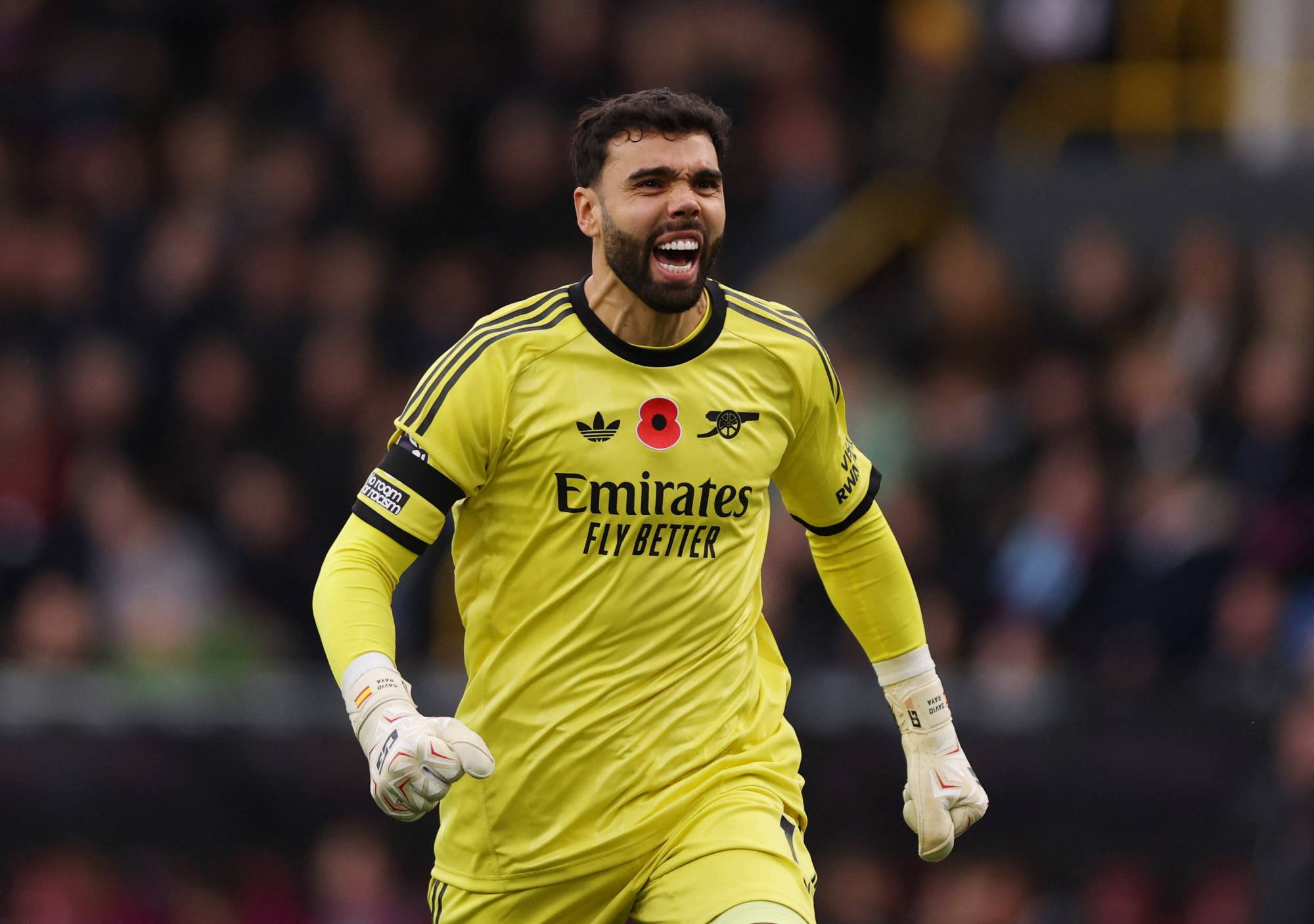 ديفيد رايا حارس آرسنال حافظ على نظافة شباكه للمباراة السابعة توالياً (رويترز)