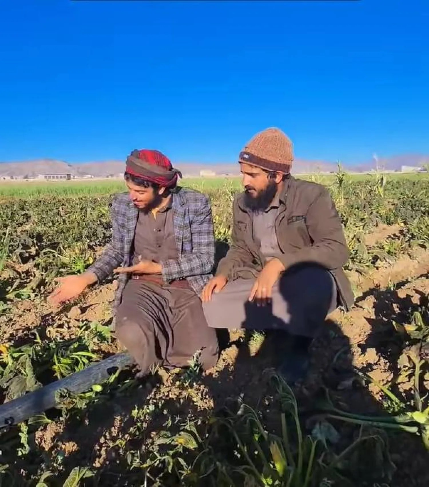 مزارعان يمنيان يتحسران على تلف مزروعاتهما بسبب شدة الصقيع الشتاء الماضي (إكس)