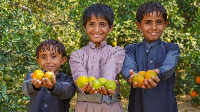 انعدام الأمن الغذائي يمثل أهم التحديات الملحة في اليمن خلال الفترة الحالية (البنك الدولي)