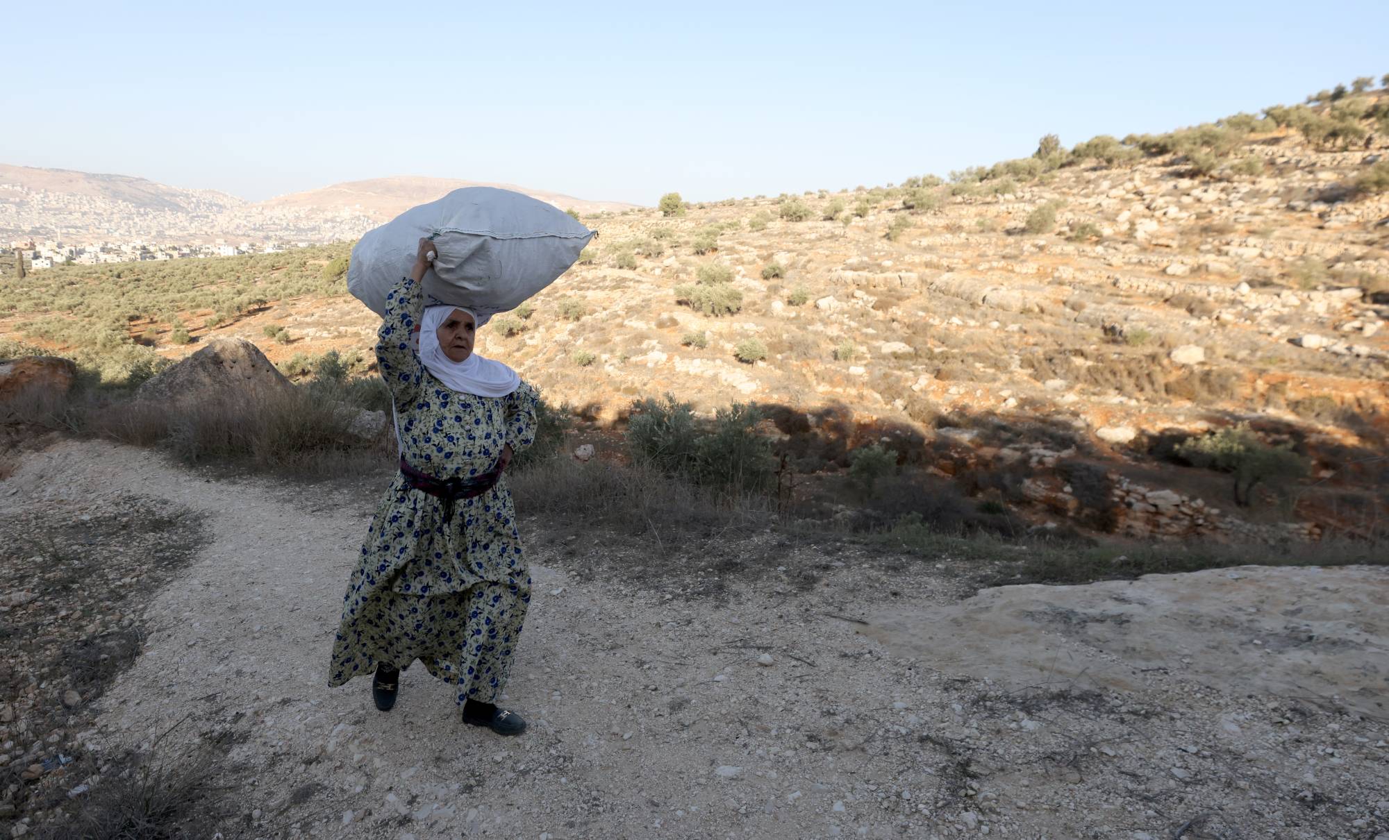 فلسطينية تمشي باتجاه بوابة يحرسها جنود إسرائيليون للسماح لها بالوصول إلى حقل الزيتون الخاص بها قرب مستوطنة ألون موريه بالقرب من مدينة نابلس بالضفة الغربية السبت (إ.ب.أ)