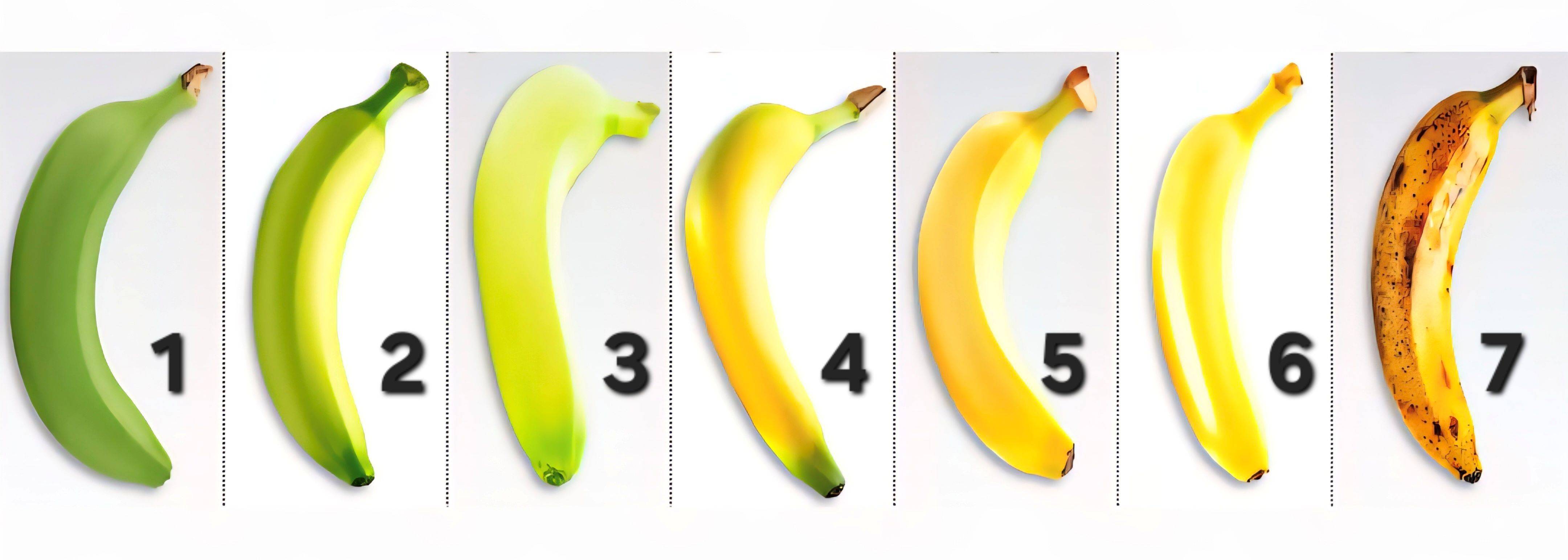 7 مراحل لنضج الموز