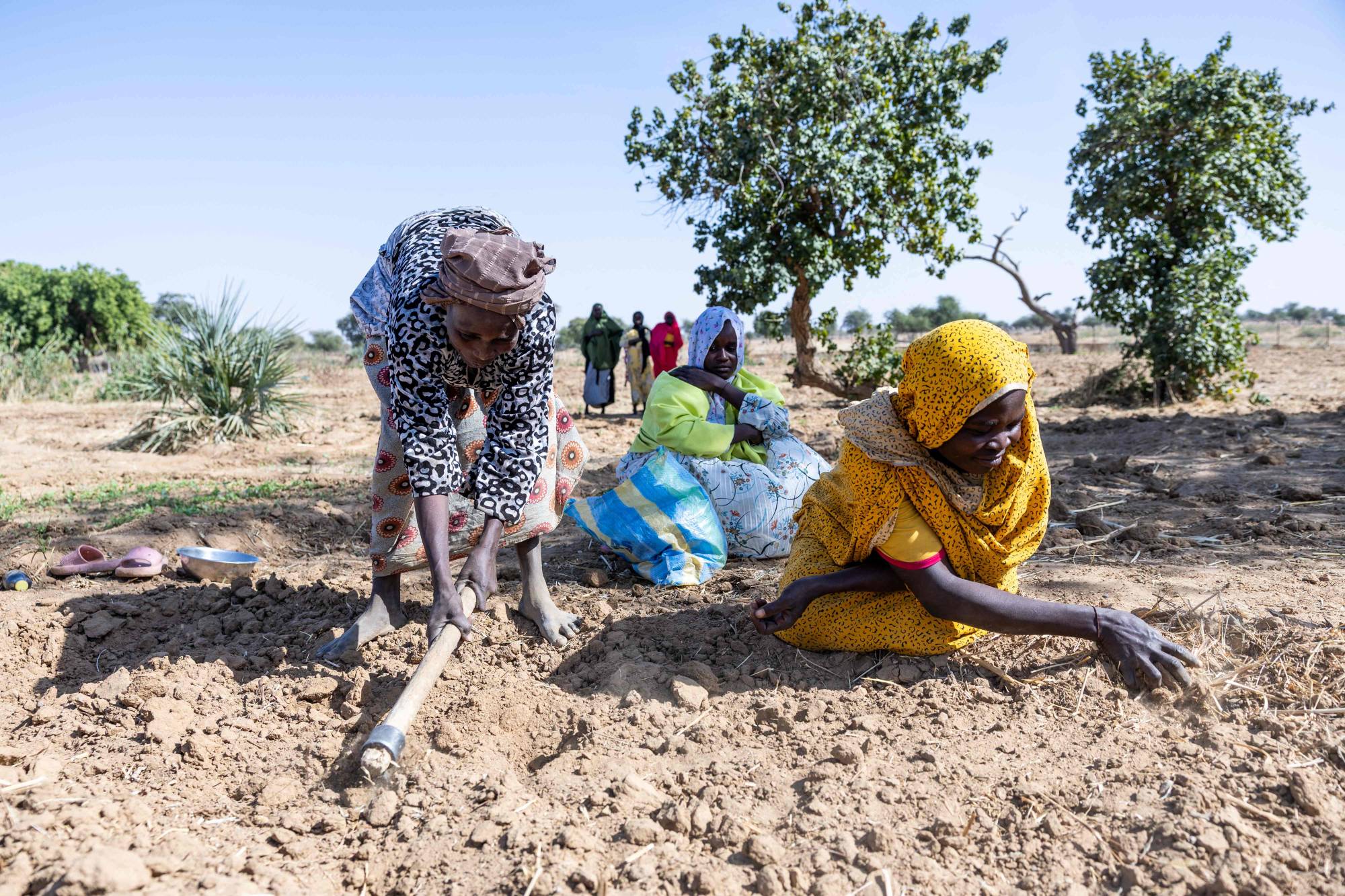 الأمم المتحدة تحذر من نفاد المساعدات الغذائية في السودان خلال شهرين