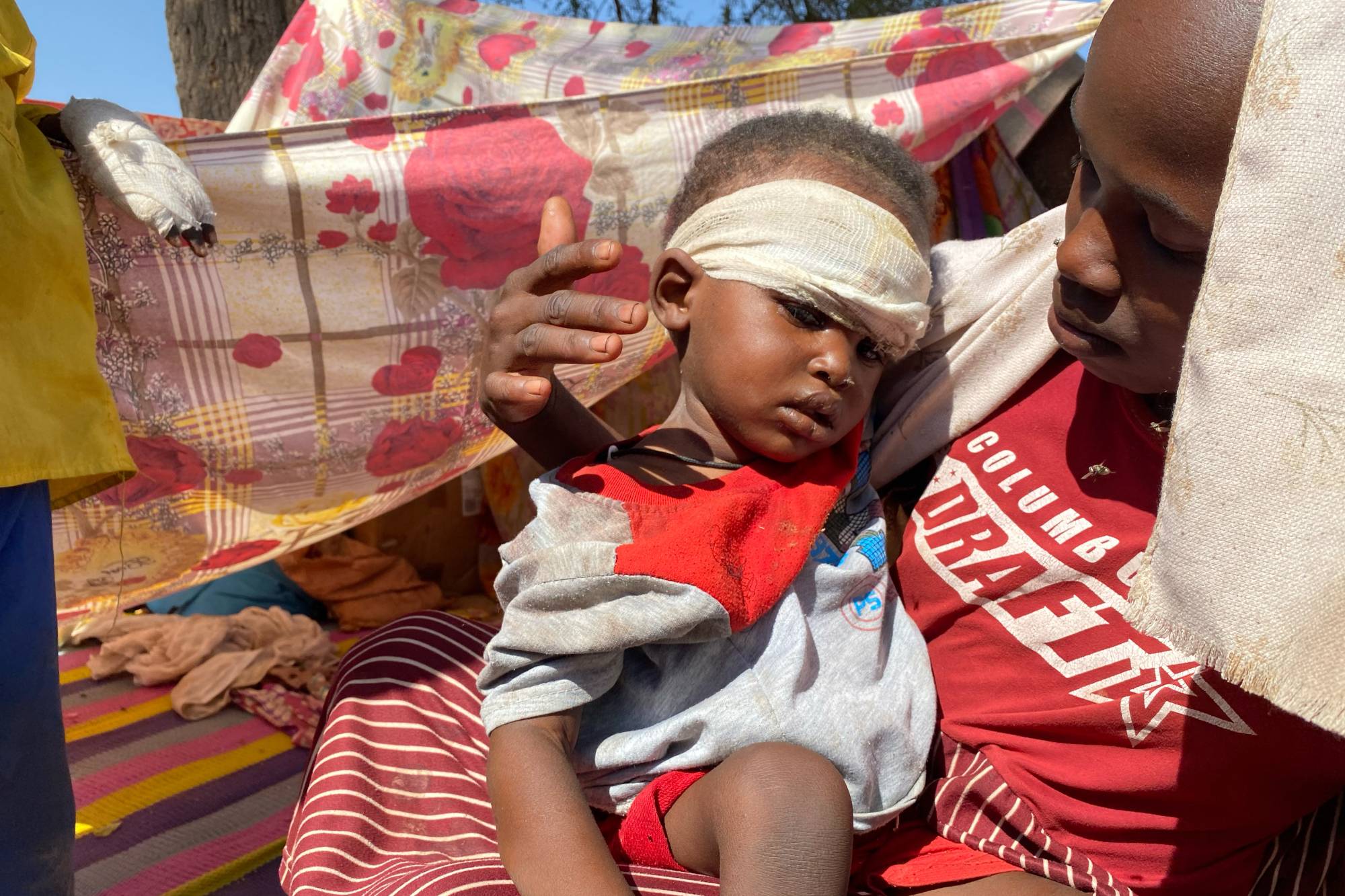 السودان: 28 قتيلاً جراء هجوم لـ«الدعم السريع» بشمال دارفور