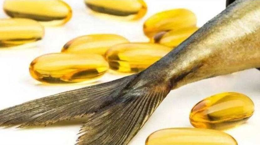 هل تساعد مكملات زيت السمك في دعم صحة القلب والمفاصل؟