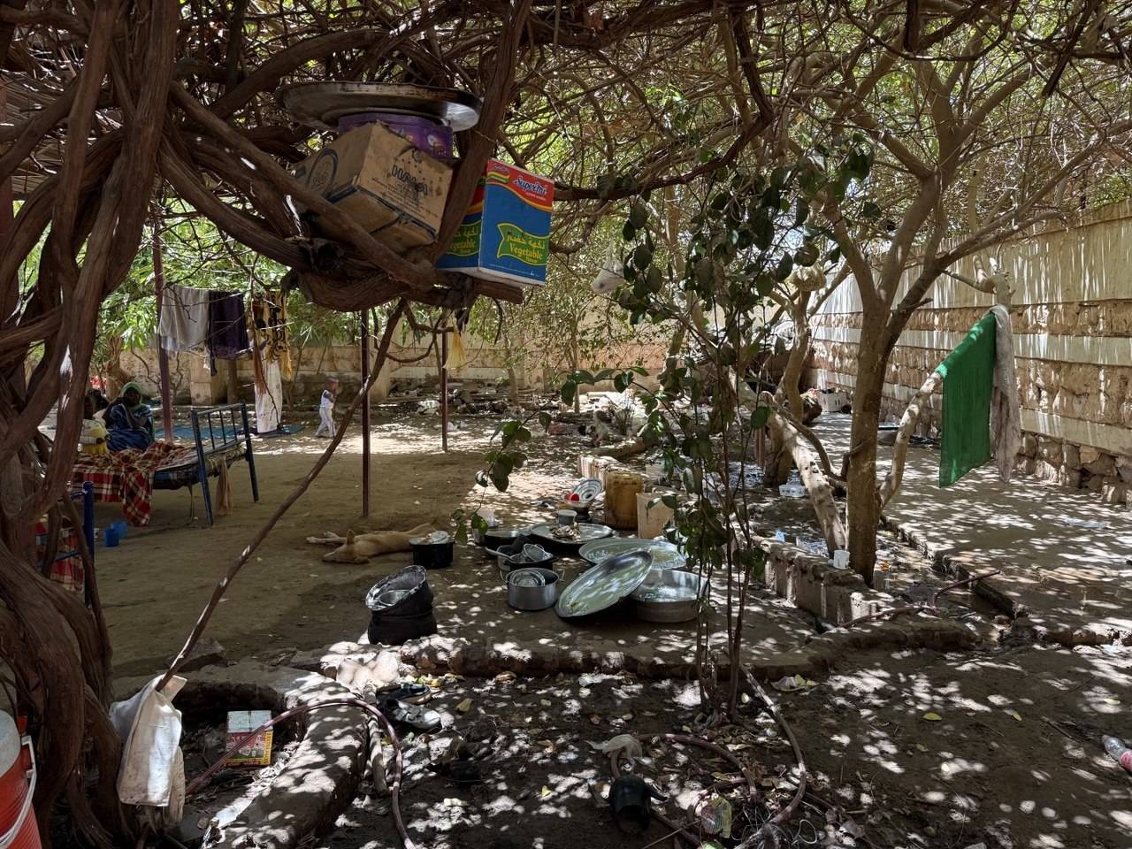 «فتيات بلا سند»... مشكلة فاقمتها الحرب في السودان