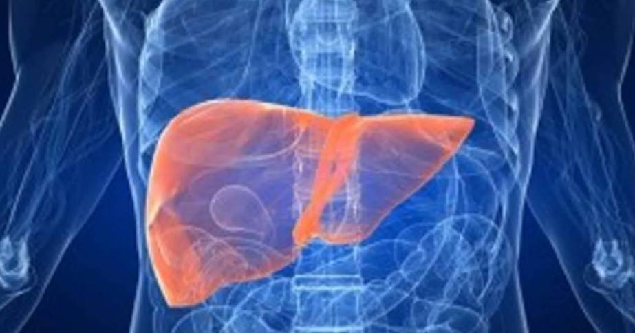 1.8 مليار شخص مهددون بالإصابة بأمراض الكبد الأيضية بحلول 2050