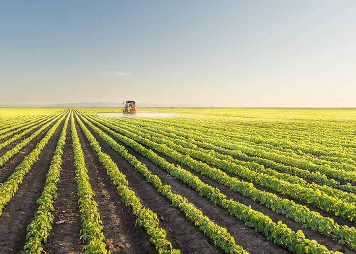 الاكتفاء الغذائي السعودي… «درع سيادية» في مواجهة عاصفة «هرمز»