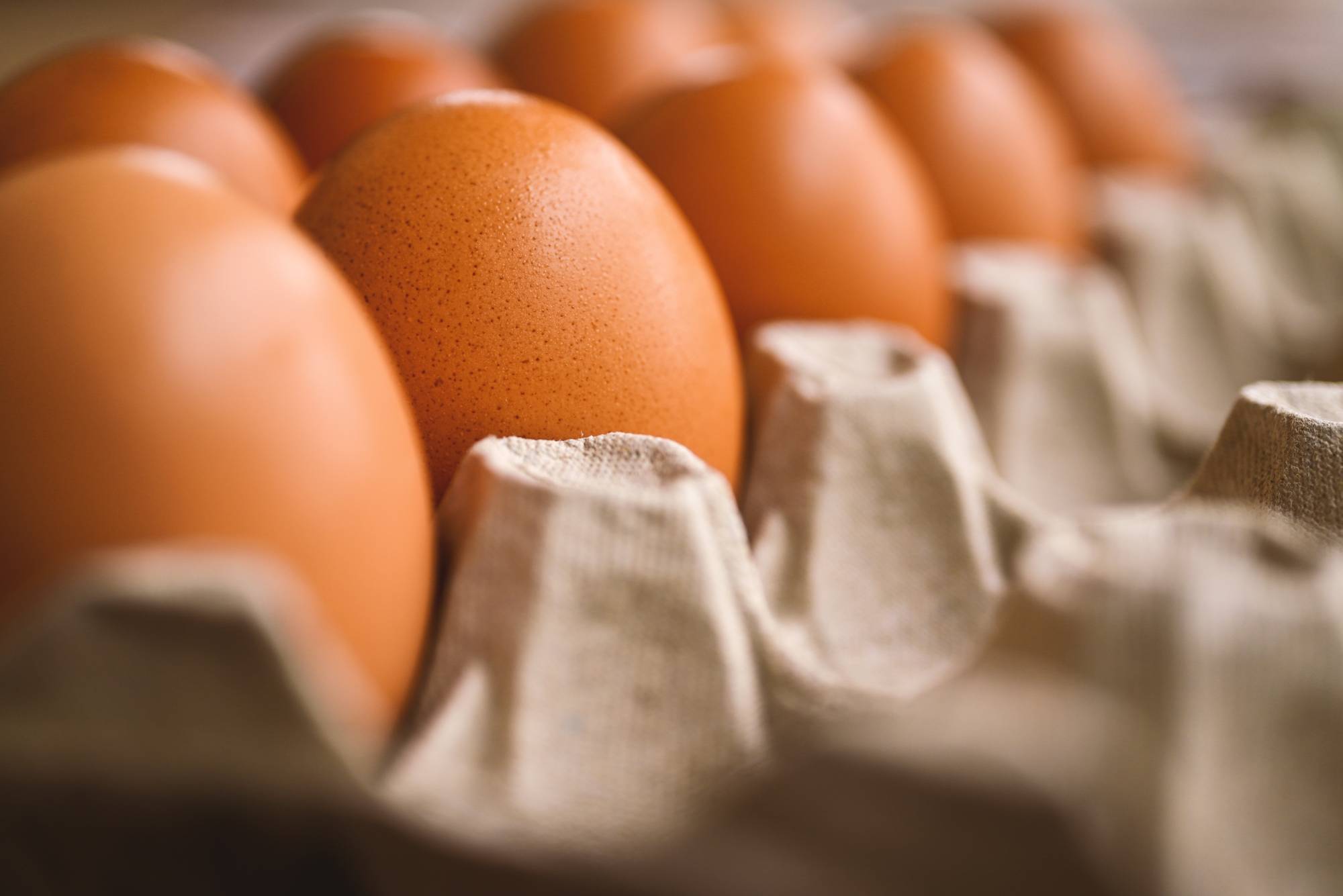 البيض والكولسترول: حقائق علمية تغير المفاهيم الخاطئة