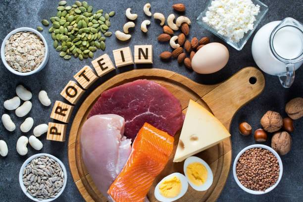 لماذا قد يؤدي الإفراط في تناول البروتين إلى تقصير العمر؟
