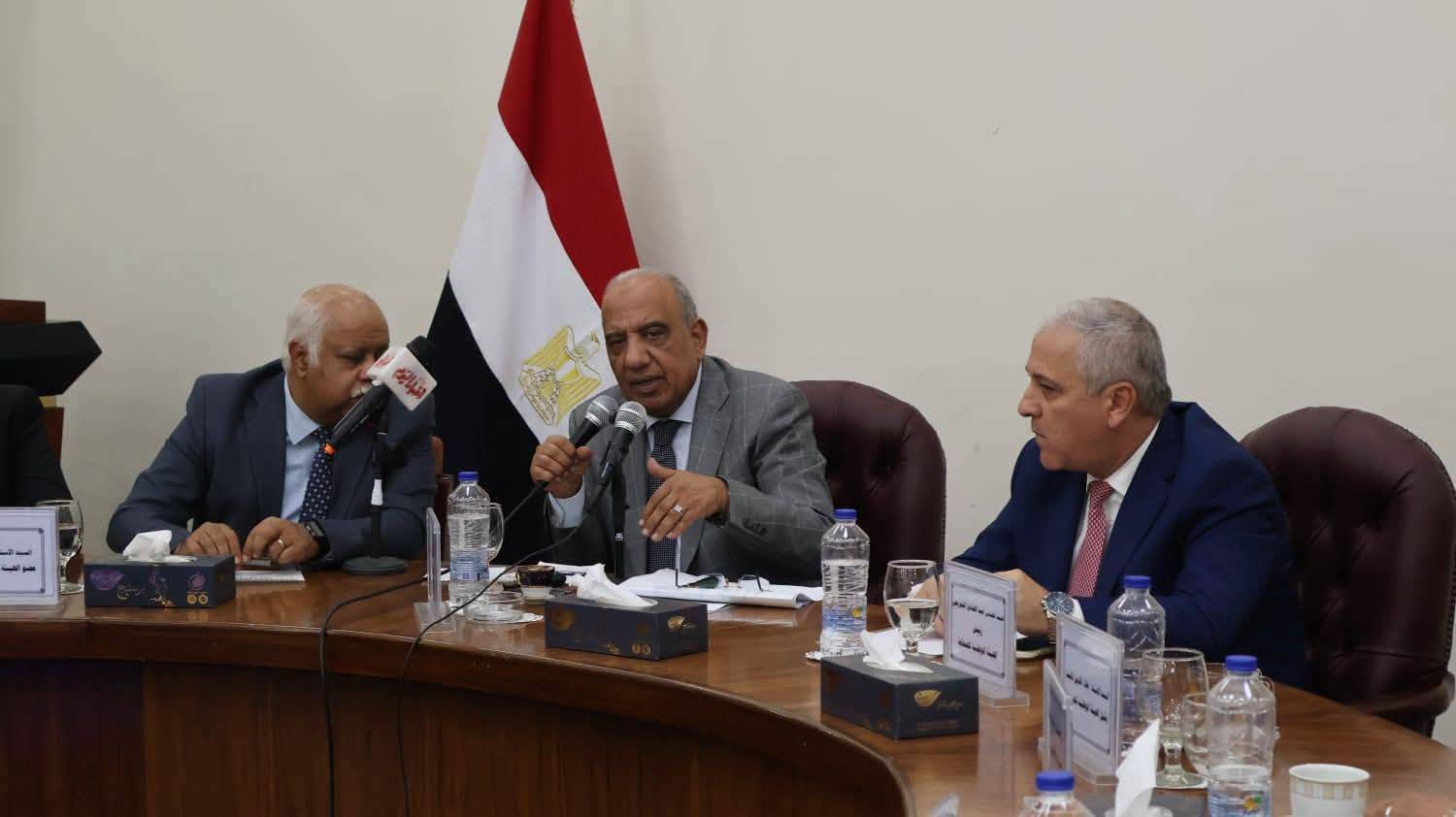 الربط الكهربائي السعودي - المصري يقترب من التشغيل