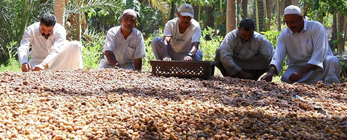 السعودية تحصّن أمنها الغذائي بـ798 مليون دولار للسلع الاستراتيجية