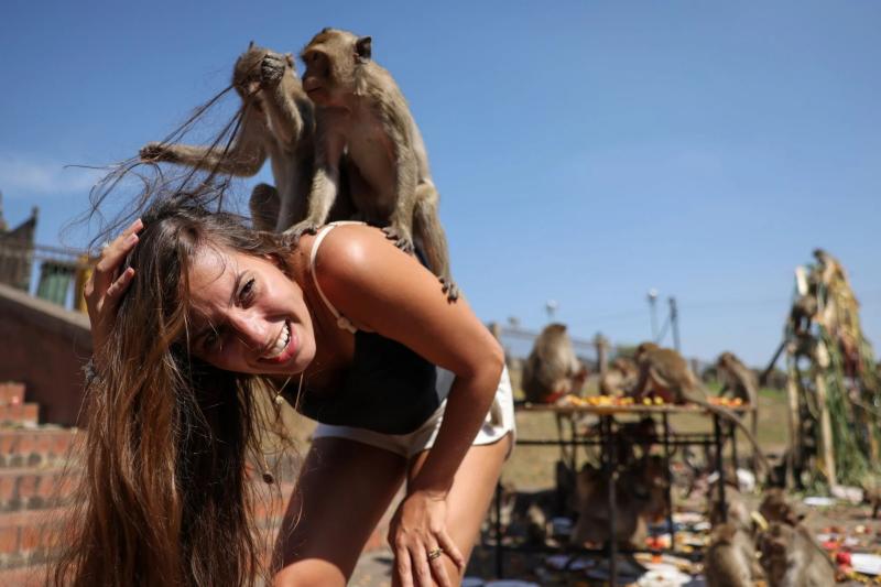 Lopburi'de her yıl düzenlenen Maymun Festivali turistlerin büyük ilgisini çekiyor (Reuters)