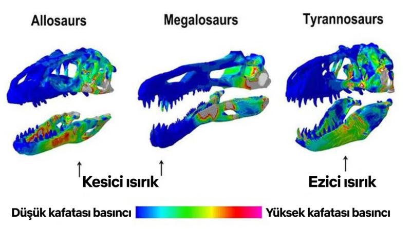 u78ı9