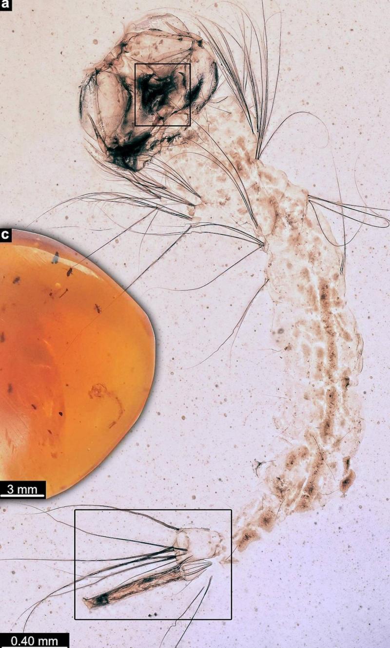 Bu görsel kaldırıldı. Güvenlik nedeniyle yalnızca yerel etki alanındaki görsellere izin verilir. Görsel kaldırıldı.