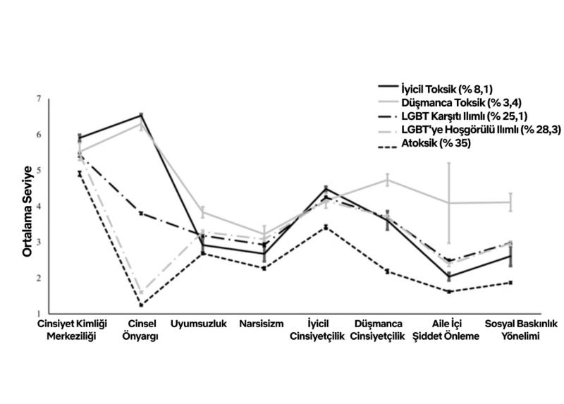 Farklı Erkeklik Türlerinin Profilleri (Deborah Hill Cone vd., Erkeklerin ve Maskülinitenin Psikolojisi (2026))