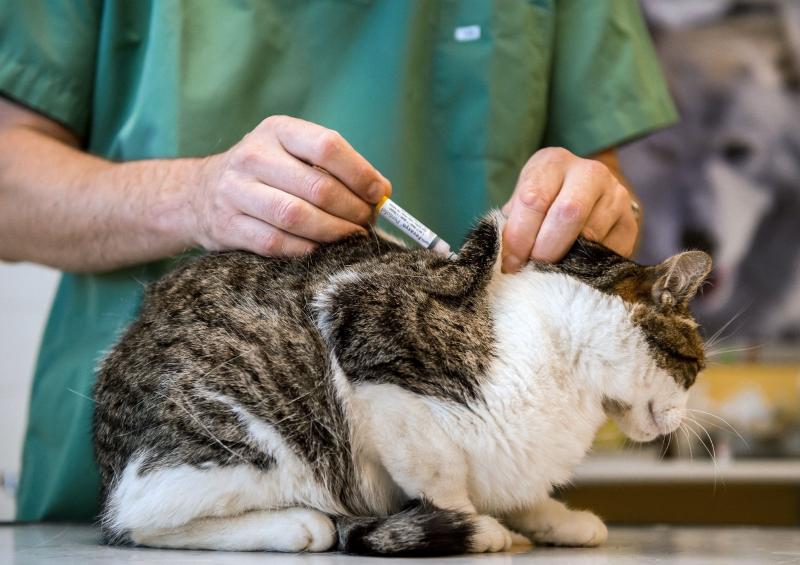 Görsel kaldırıldı.
