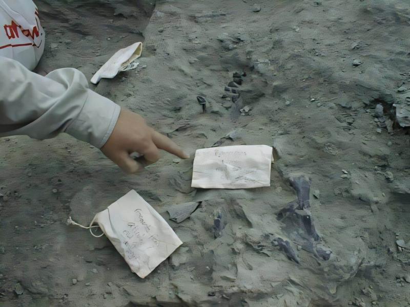 Görsel kaldırıldı.