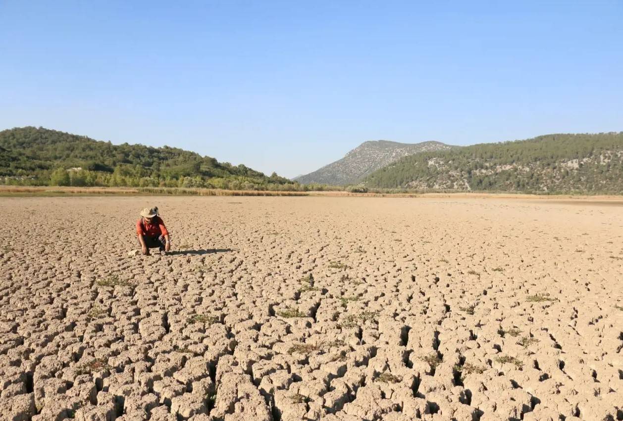 Türkiye'de düşük yağış miktarı su rezervlerinin kurumasına ve 2025 yılında tarımı önemli ölçüde etkilemesine neden oldu (Türk medyası).