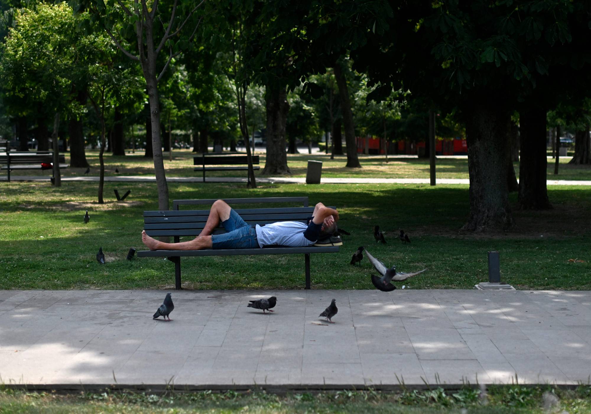 Belgrad'da bir kişi, şiddetli sıcak hava dalgası sırasında gölgede dinleniyor. (AFP)