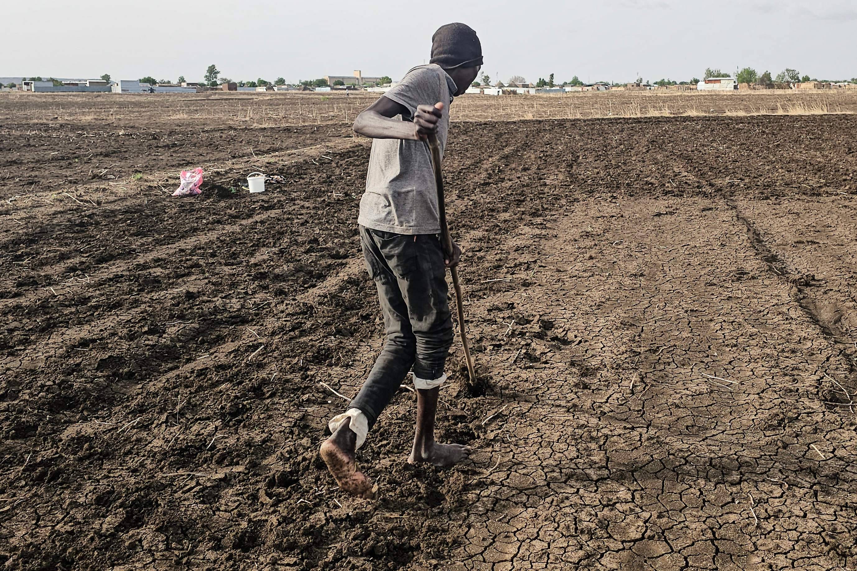 Sudanlı bir çiftçi, ülkenin doğusundaki Gedaref eyaletinde kuraklığın ortasında tarlasını sürüyor (AFP)