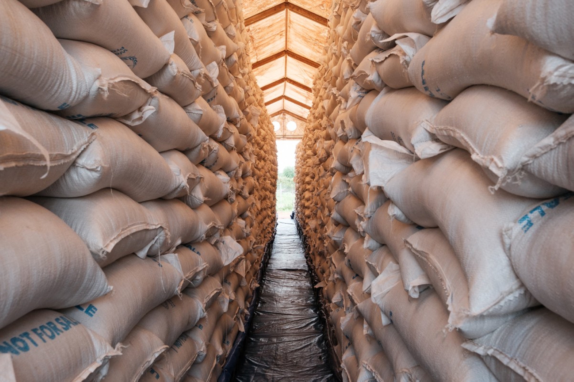 Güney Sudan'ın Maban kentindeki bir depoda, Dünya Gıda Programı'na ait binlerce torba ince mısır dağıtılmaya hazır durumda, 20 Ağustos 2025 (AFP)