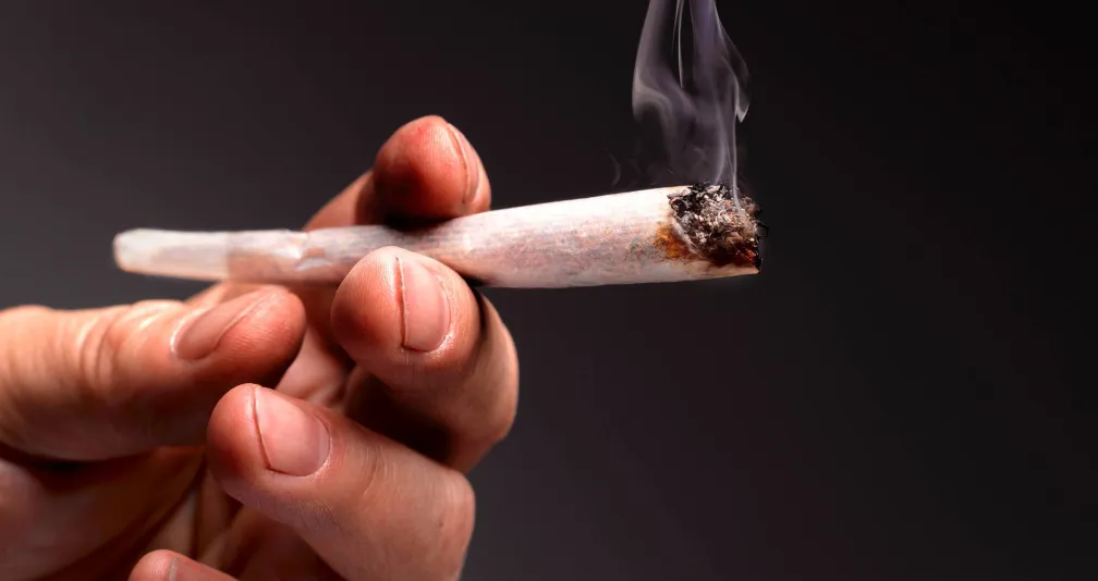 العلاج الطبيعي: كيف تسهم المركبات الطبيعية في تحسين حياة المدمنين وتسريع شفائهم!