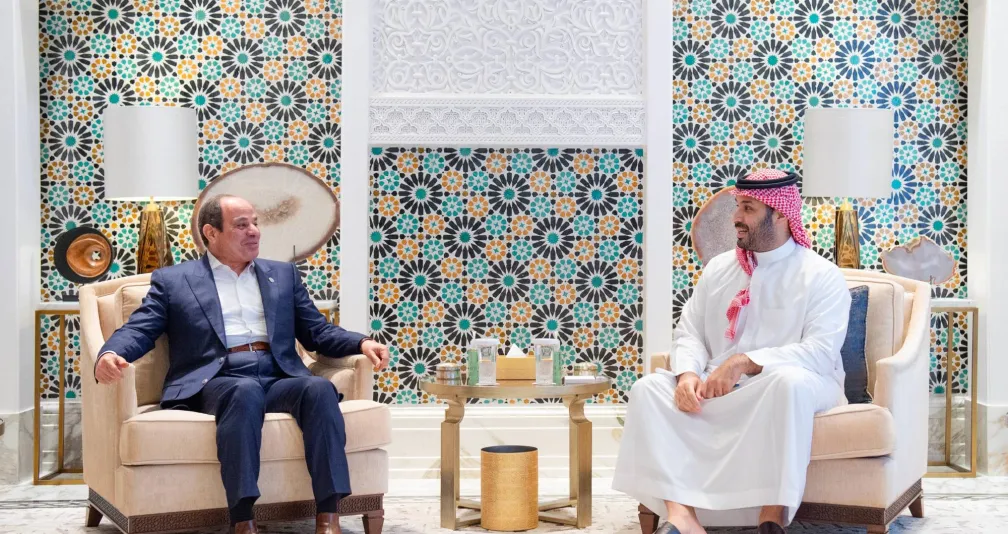 لقاء سعودي - مصري في نيوم يستعرض العلاقات والتطورات