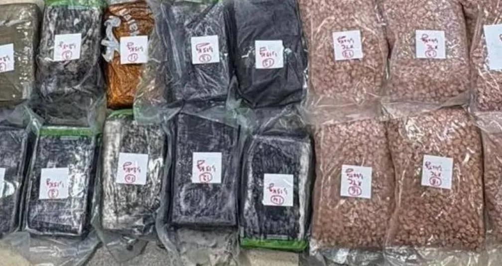 بتعاون سعودي... لبنان يحبط محاولة تهريب كميات كبيرة من المخدرات إلى أراضيه