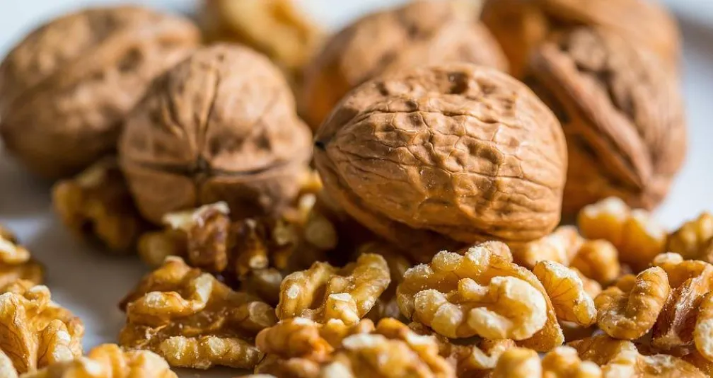 الفوائد العلمية للجوز الفوائد العلمية للجوز