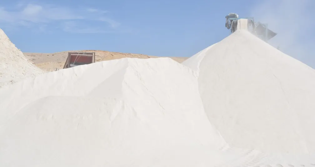 جريمة الرمال البيضاء تعيد «كنزاً مصرياً ضخماً» إلى الواجهة