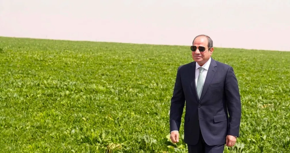 «الدلتا الجديدة»... مصر تعزز أمنها الغذائي وسط اضطرابات المنطقة