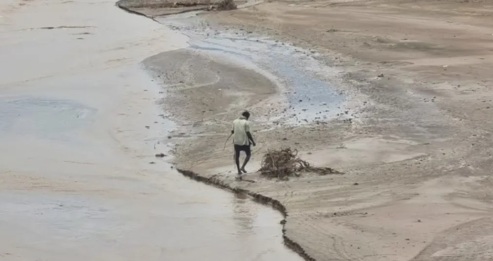 مبادرات أممية تدعم الزراعة اليمنية وتحد من الجفاف