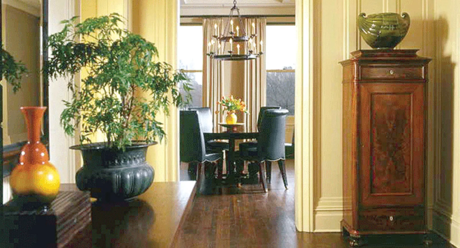 «نباتات الزينة».. لكل ركن نوعه الخاص