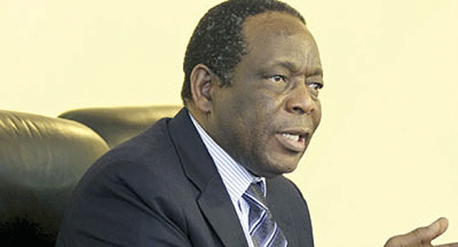 ممثل الاتحاد الأفريقي لـ «الشرق الأوسط»: الانتخابات في دول «الربيع العربي» ليست كافية للحكم