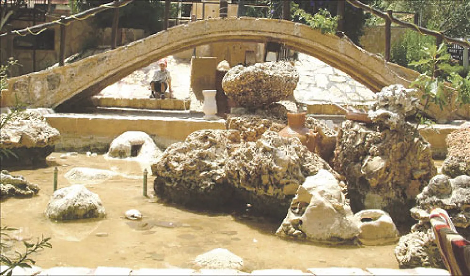 منظر طبيعي داخل آكاسيا