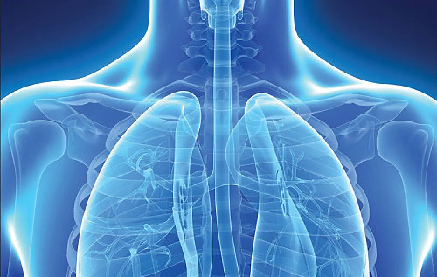 * «غلبرت» الكبد * عمري 36 سنة، ولا أشكو من أي أعراض، ولكن من سنوات أجريت تحاليل، ومن ضمنها تحاليل وظائف الكبد ووجد الطبيب بعض الاضطراب فيها وأجرى مزيدا من الفحوصات، وذكر أن لدي حالة تسمى «غلبرت» وأنه لا خوف منها. وأود معرفة المزيد عن الأمر، وما تنصح. إبراهيم د. - إسطنبول. - هذا ملخص رسالتك التي ...