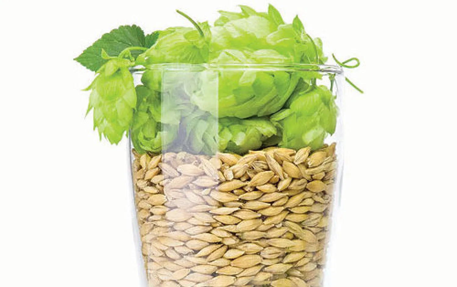 تشهد المشروبات الباردة والمثلجة إقبالا كبيرا من الناس طوال السنة وخاصة عند ارتفاع درجة حرارة الجو، لما لها من تأثير منعش ومنشط. وتختلف هذه المشروبات في قيمتها الغذائية وما تمد به الجسم من احتياجاته اليومية من العناصر الغذائية الرئيسة. ويعتبر نبات الشعير من أغنى النباتات من حيث المحتوى الغذائي وا...