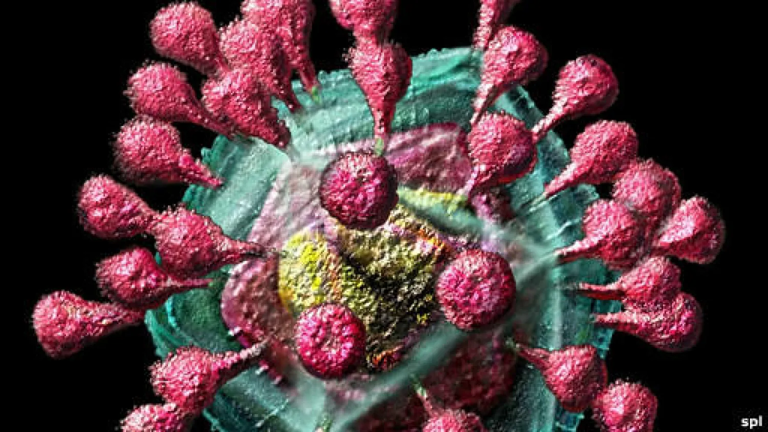 السعودية تعلن وفاة مصابين اثنين بالـ«كورونا»