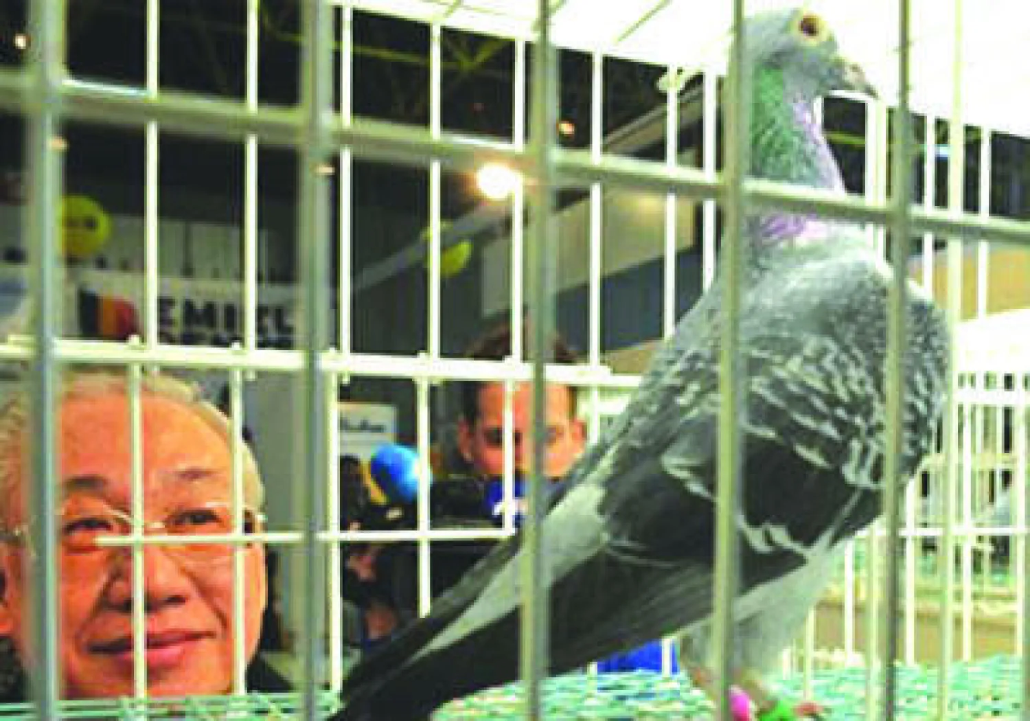 «حمام السباق» يثير خلافا جمركيا بين الصين وبلجيكا