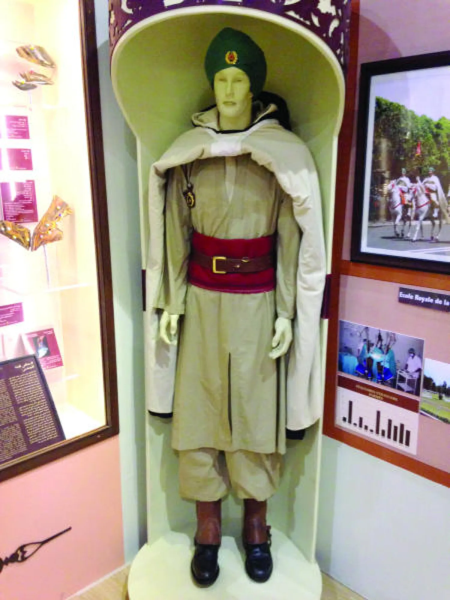 فنون الفروسية تتألق في الجديدة بالمغرب