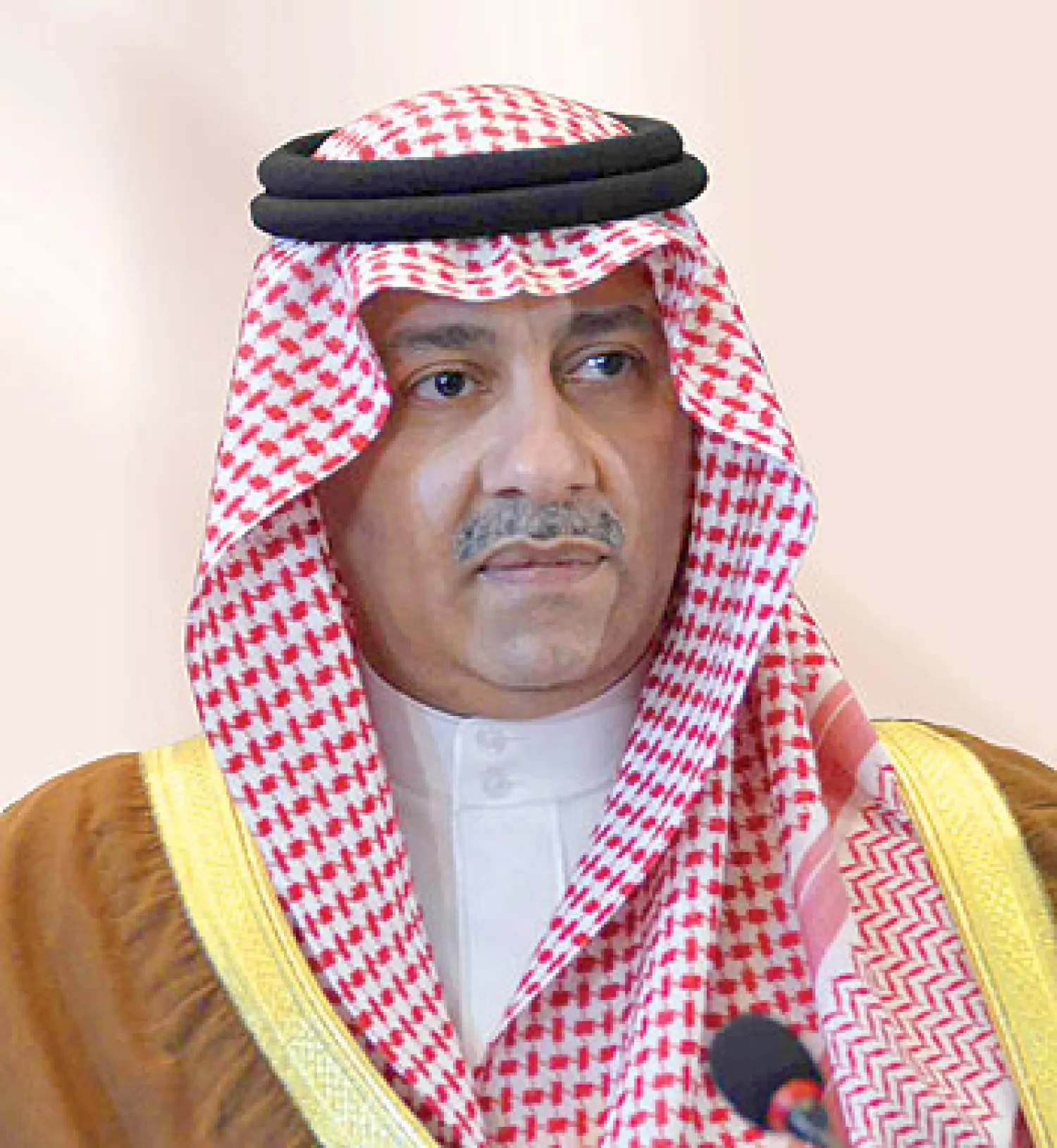 الأمير عبد العزيز بن عبد الله بن عبد العزيز