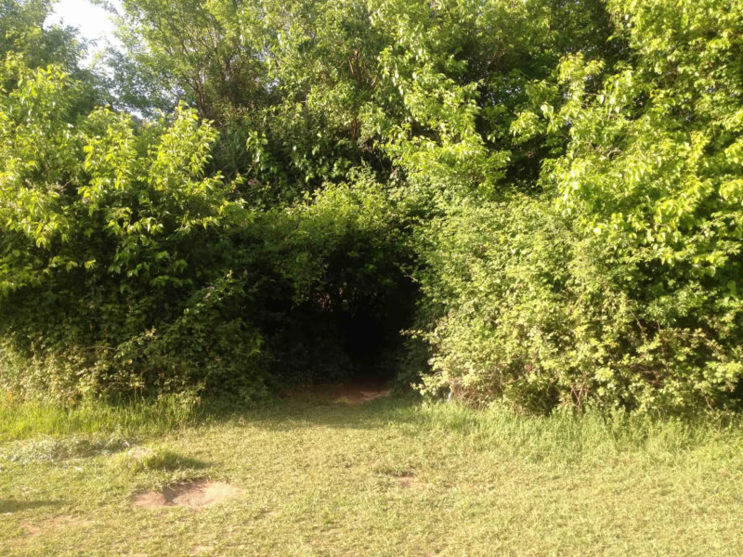 «بين الويدان».. جوهرة مغربية منسية تنبض