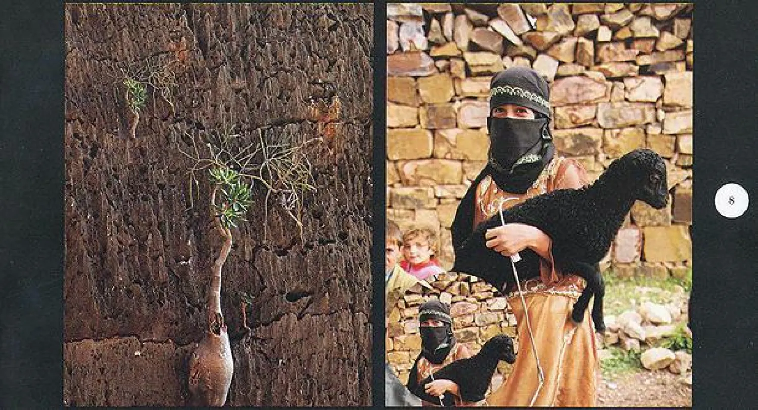 المعرض الذي تنظمه وزارة الثقافة اليمنية بالتنسيق مع مجلس الترويج السياحي يحكي في مجمله  عن قصة عشق خاص جمعت بين المصورة القطرية واليمن إنسانا وأرضا وتاريخا ({الشرق الأوسط})