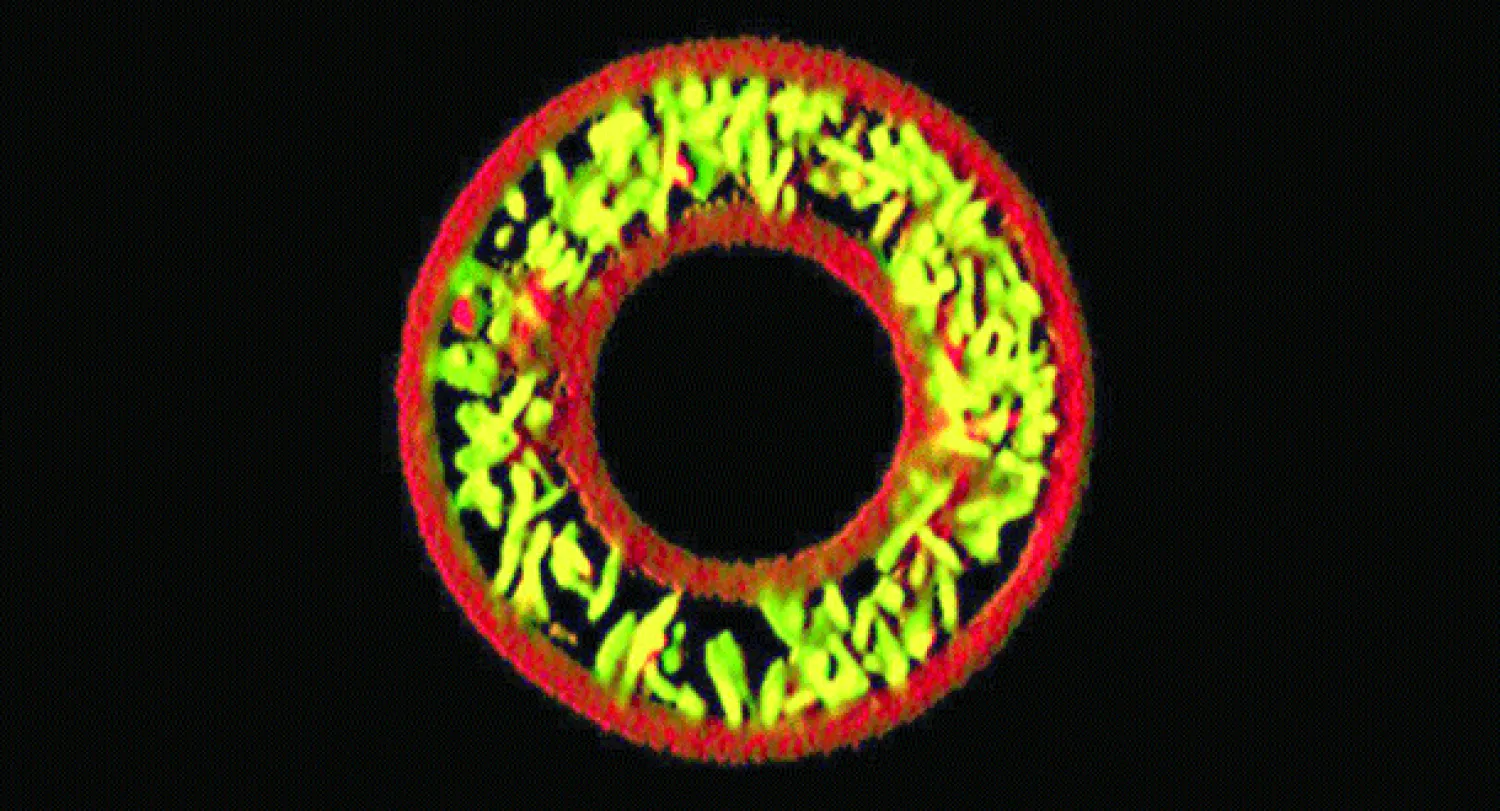أقفاص صغيرة جدا مطبوعة بالأبعاد الثلاثة لحجز الميكروبات والجراثيم
