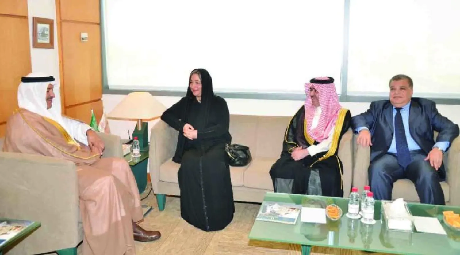 رولا معايعة: لدينا ضمانات لحماية الاستثمارات وتشجيع تدفق رؤوس الأموال