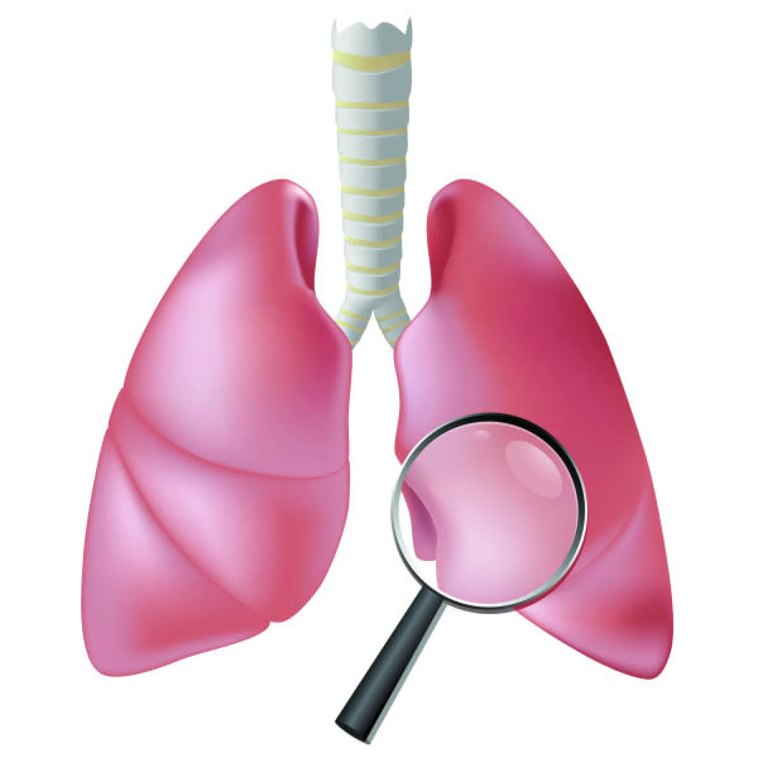 بين الخطأ والصواب